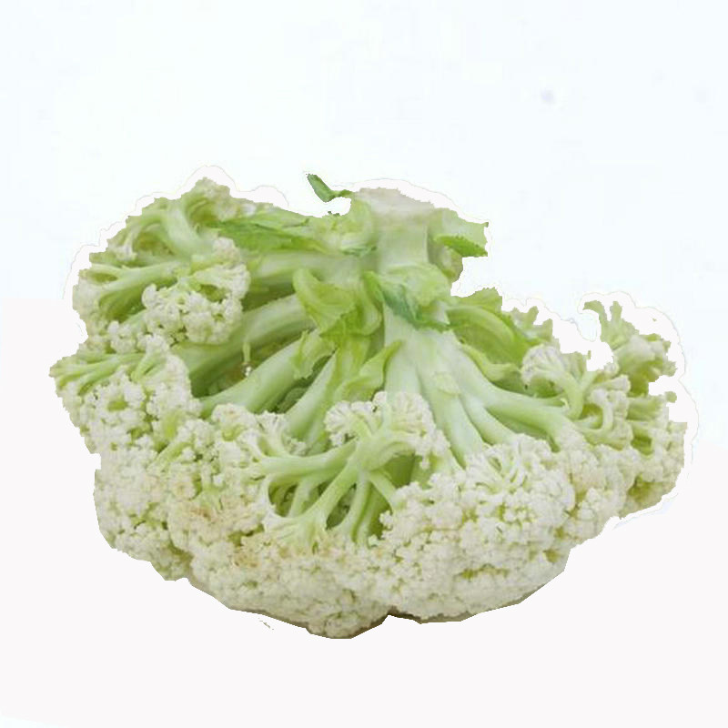 台湾优质75天中熟青梗松花菜种子比亚久有机散花蔬菜2千粒包邮