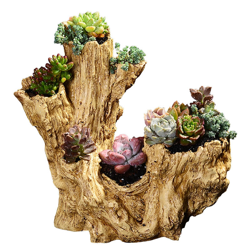 树根多肉植物花盆创意个性肉肉组合盆栽大口径透气花盆