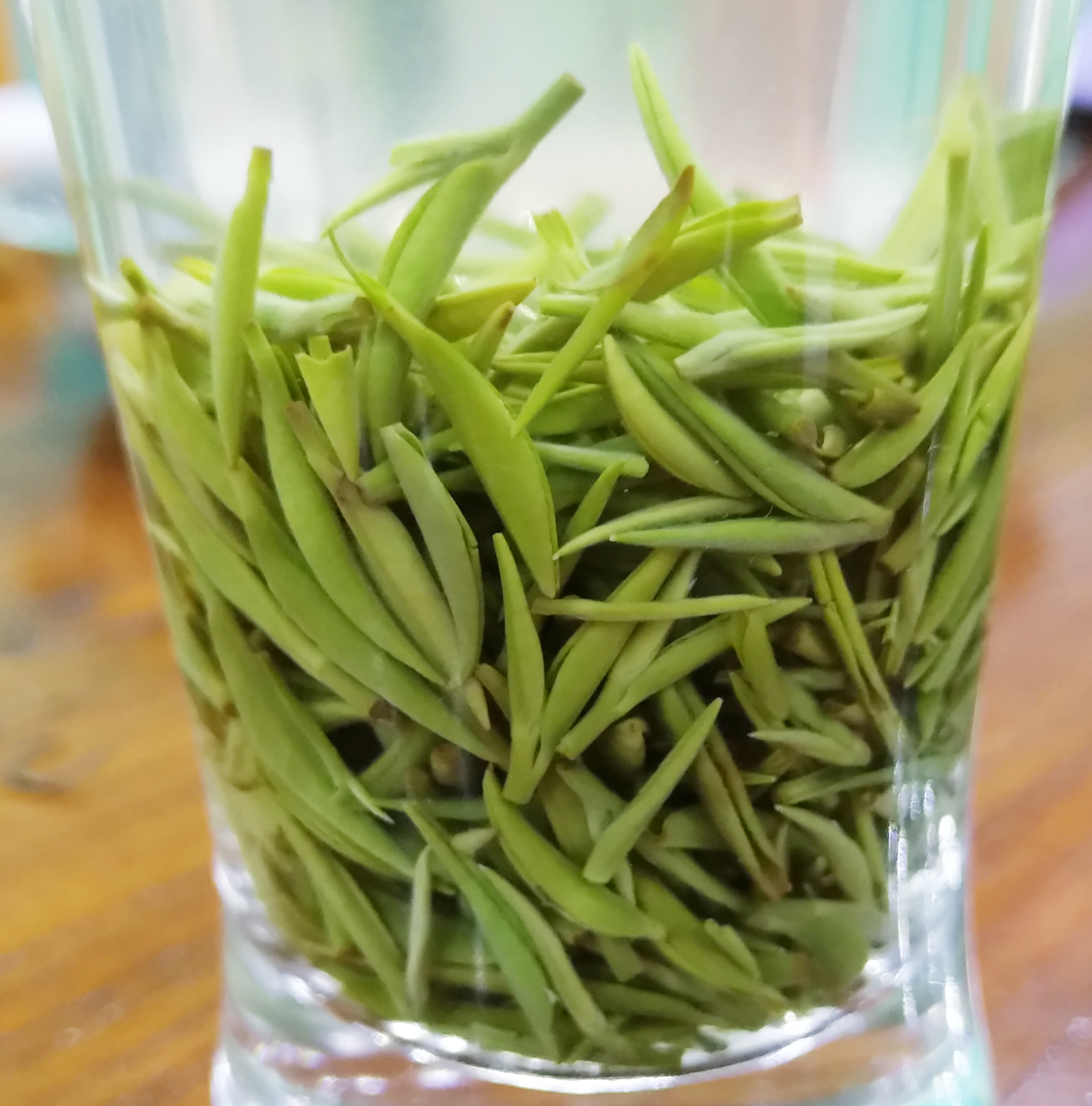 绿茶散装250克山茶高山茶浓香信阳手工嫩芽特级信阳毛尖