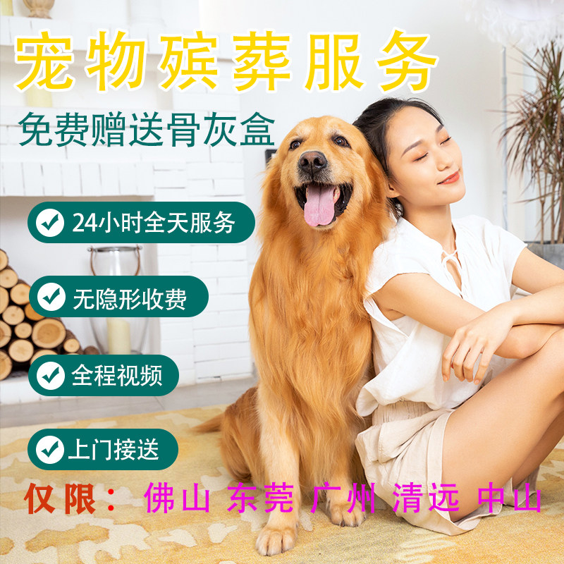 宠物火化安乐死尸体安葬善终骨灰广州佛山上门宠物殡葬