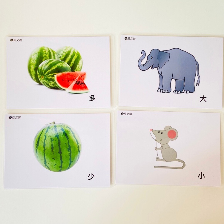反义词实操认知卡片儿童aba康复语言发育迟缓玩具挂图
