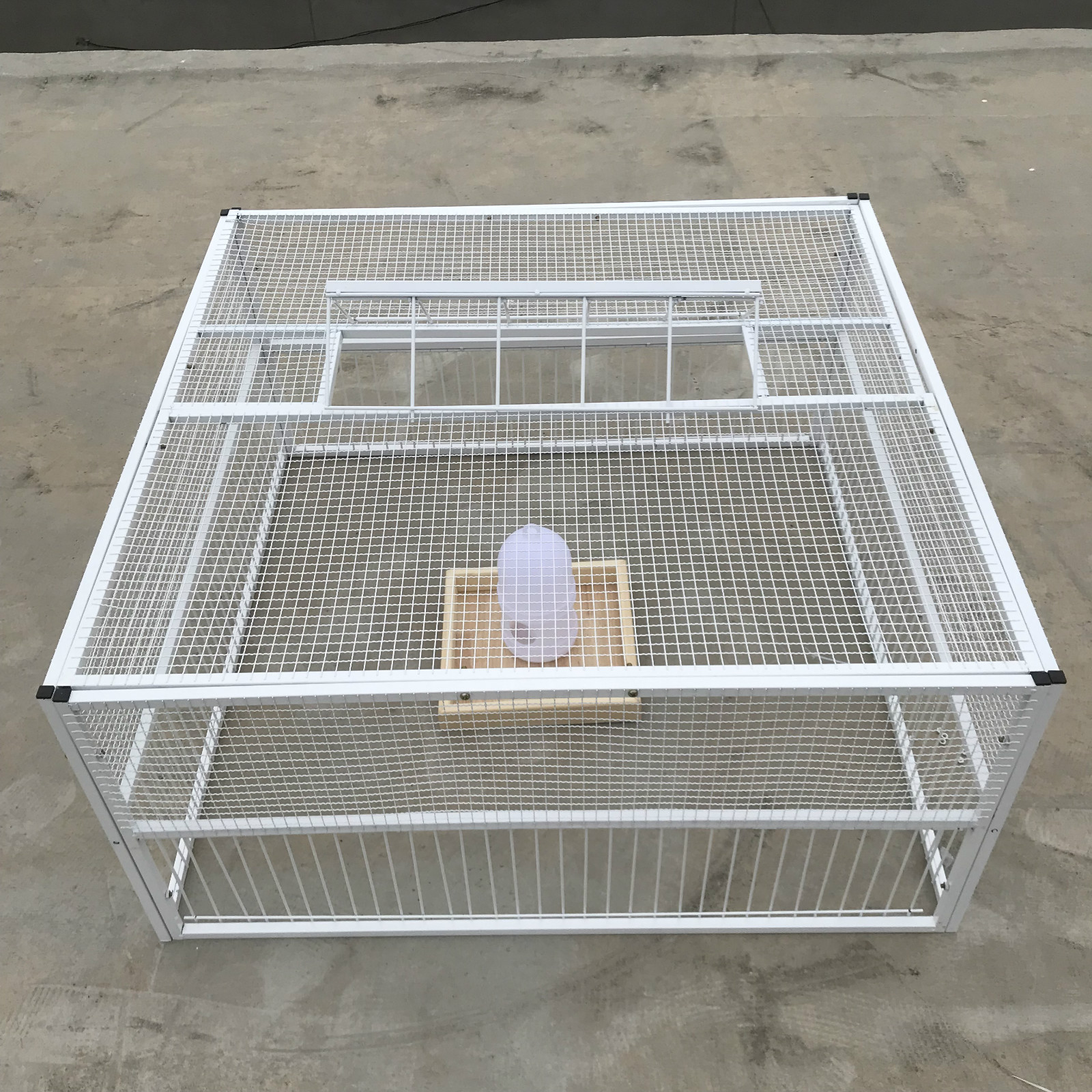 新款加密鸽子碰门捕鸽神器天落笼只进不出鸽子笼撞门笼鸽具用品