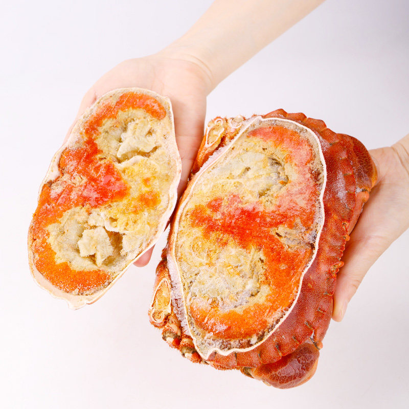 鲜活熟冻超大英国大母蟹珍宝面包蟹大规格面包蟹800g600g只