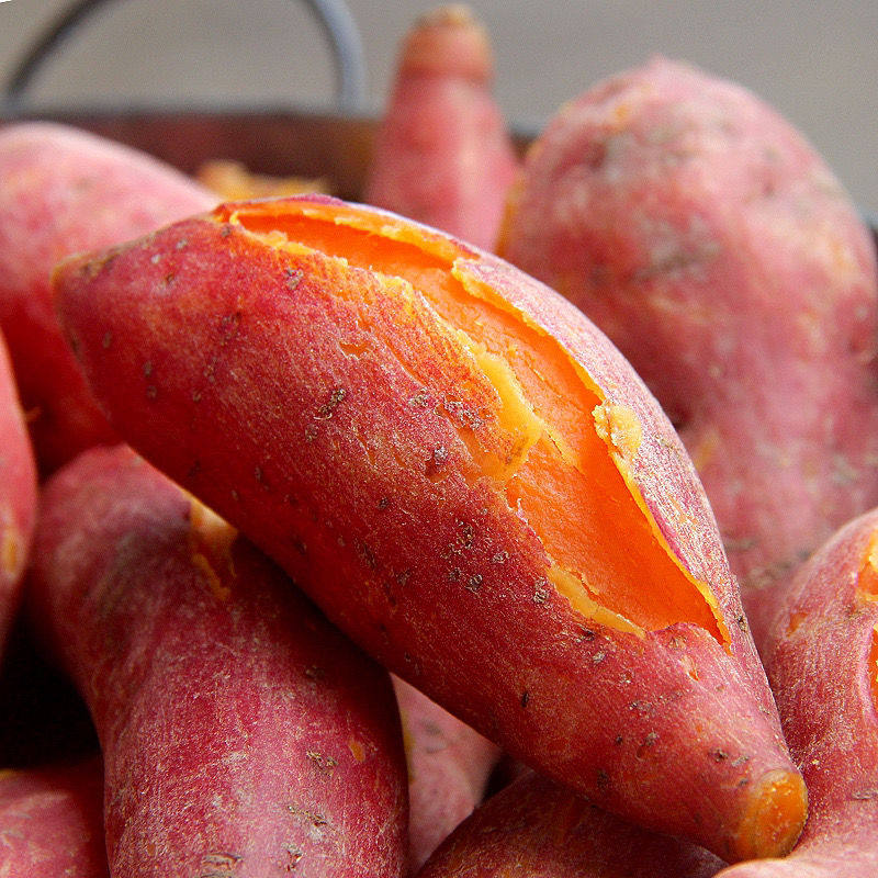 地瓜六鳌沙地红薯10斤蜜薯红黄番薯新鲜蔬菜莲藕