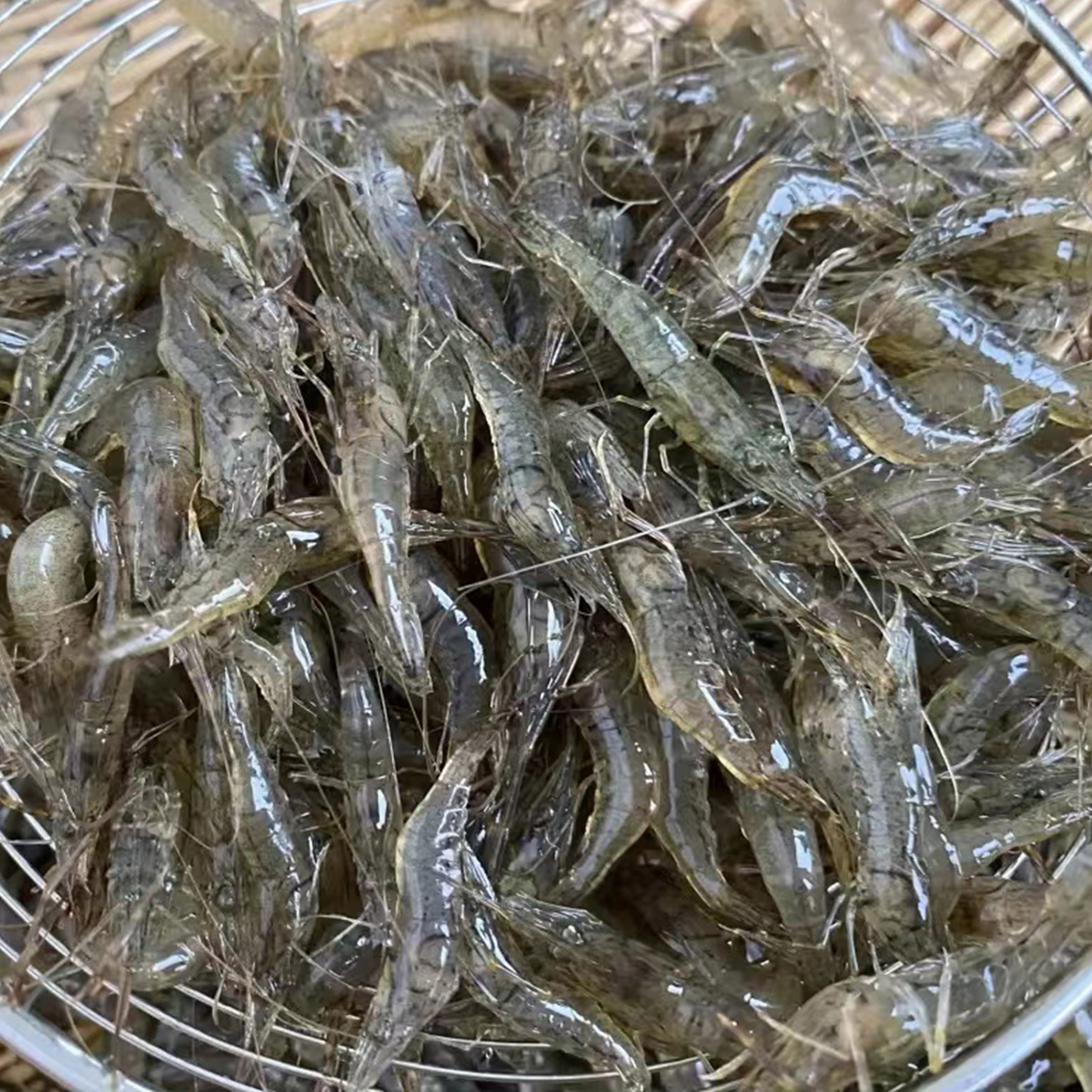 微山湖淡水河新鲜青虾草虾醉虾鲜活清水小明孕妇冻虾