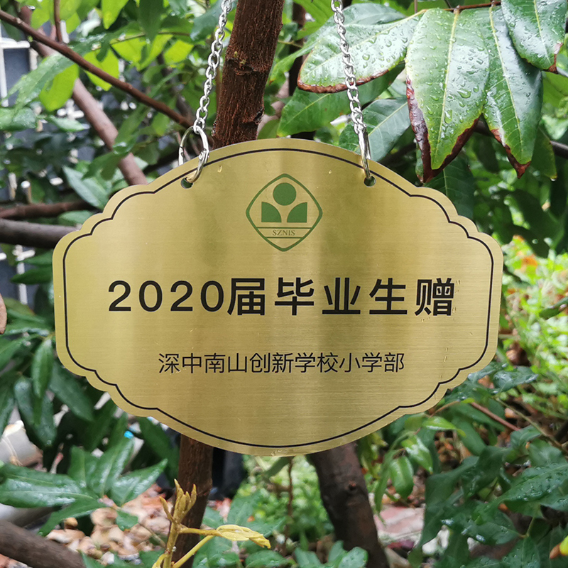 树牌定制户外悬挂树木标识二维码简介绍认领铭牌