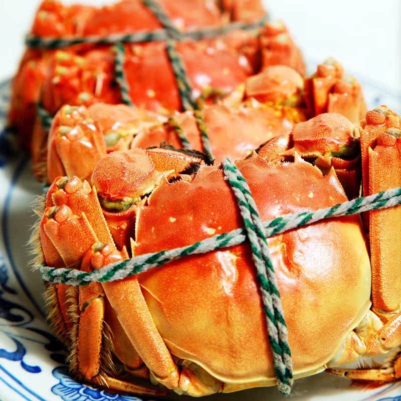 【买8送2】六月黄鲜活现货江苏红膏六月黄蟹特大礼盒装顺丰包邮