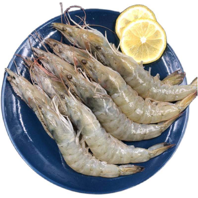 大连海虾鲜活海鲜超大对虾生鲜青虾基围白虾子新鲜冷冻3斤包邮