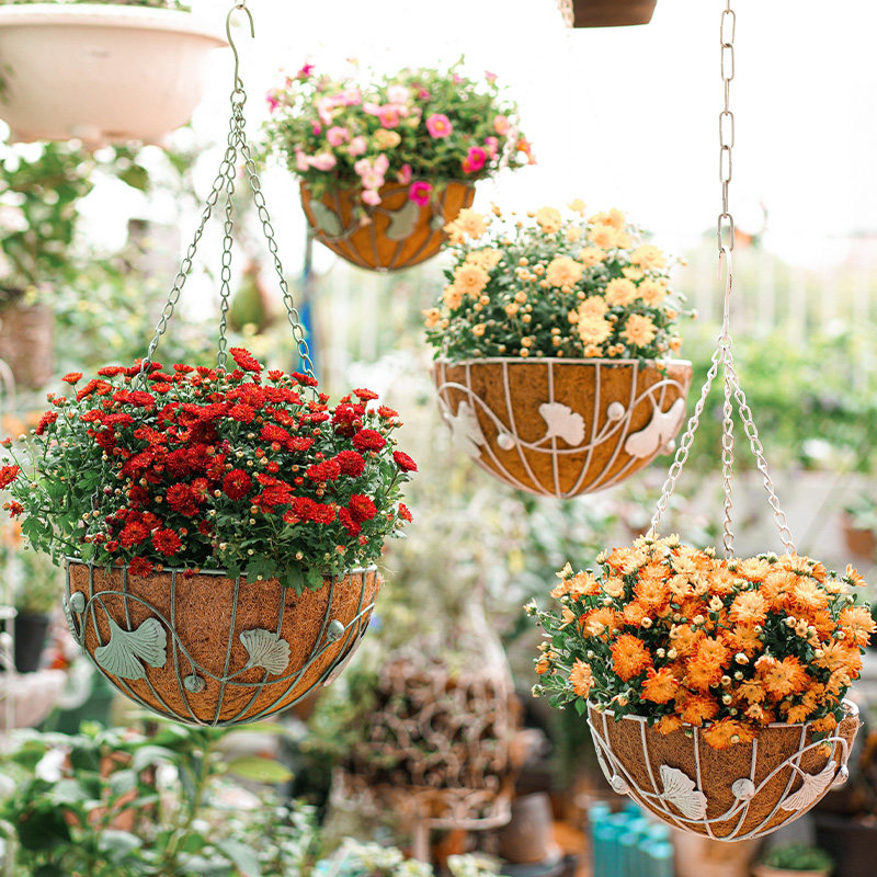 铁艺创意吊篮花盆多肉绿植吊盆装饰花园阳台花篮