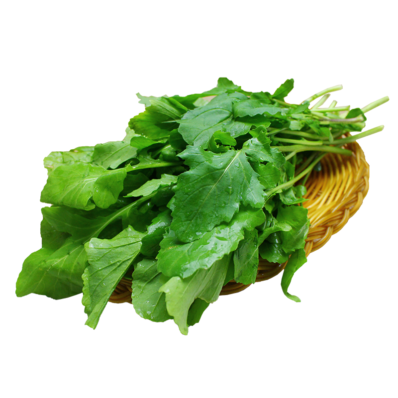 臭菜东北云南包邮新鲜500g农家自种新鲜蔬菜臭菜梗东北蘸酱菜