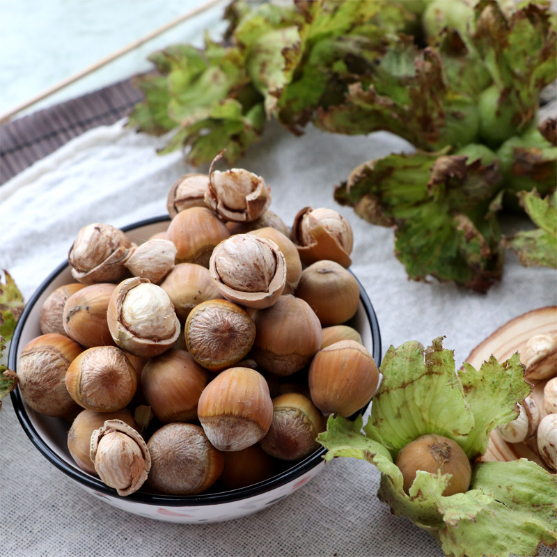 新鲜榛子带皮东北现摘生水仁大2022绿皮坚果榛子