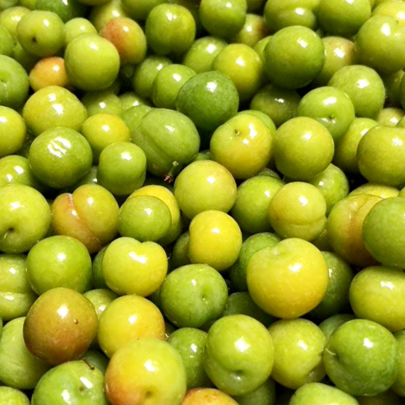 水果潮汕爽脆孕妇甘草梅汁李子酸甜特产新鲜李子