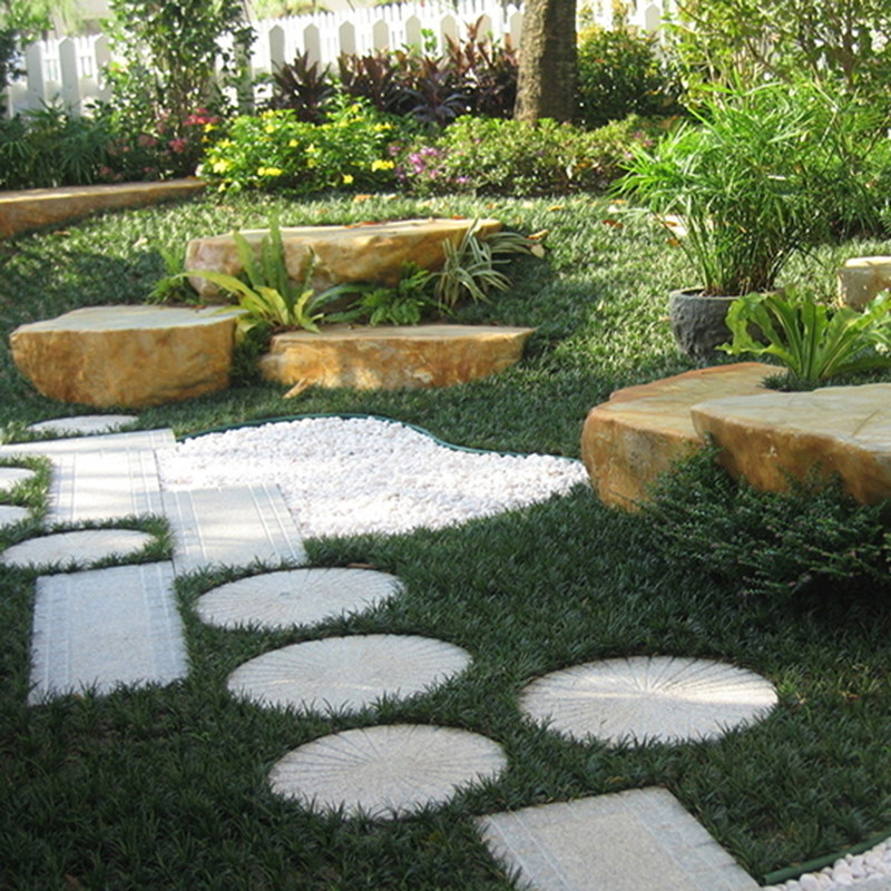 麦冬正宗日本矮生庭院玉龙草耐地被植物四季时令草本花卉