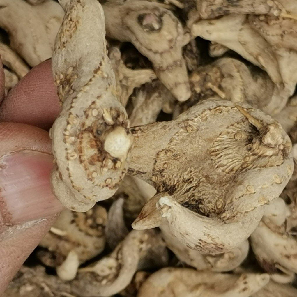 贵州省野生干白及250g包邮整个无硫可磨粉精选特级白芨中草药材