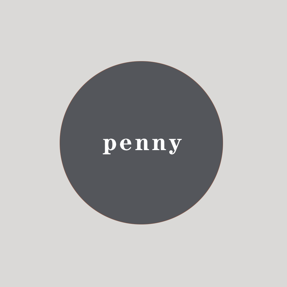 魔术肯尼迪美元抖音同款道具手指硬币美分penny魔术道具