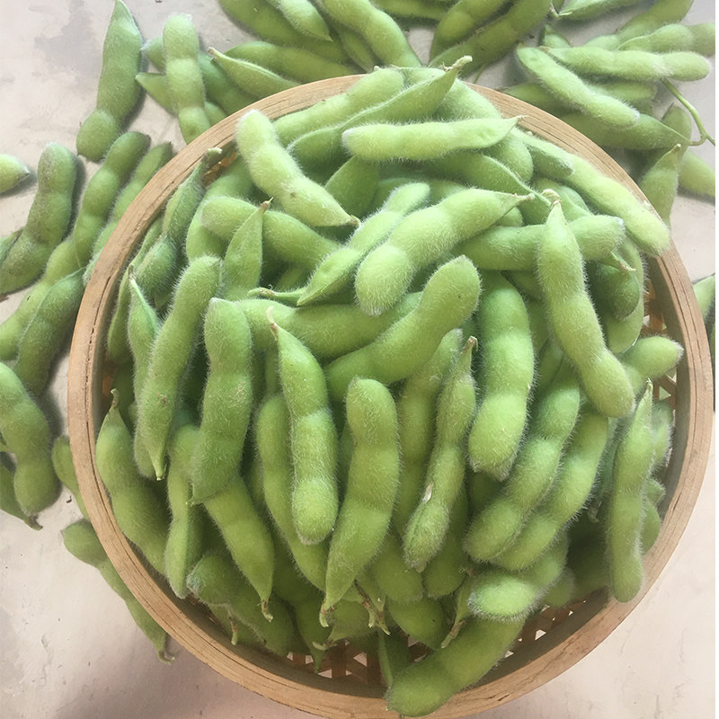 新鲜毛豆带壳现摘生毛豆荚嫩毛豆角青豆米子新鲜豆类