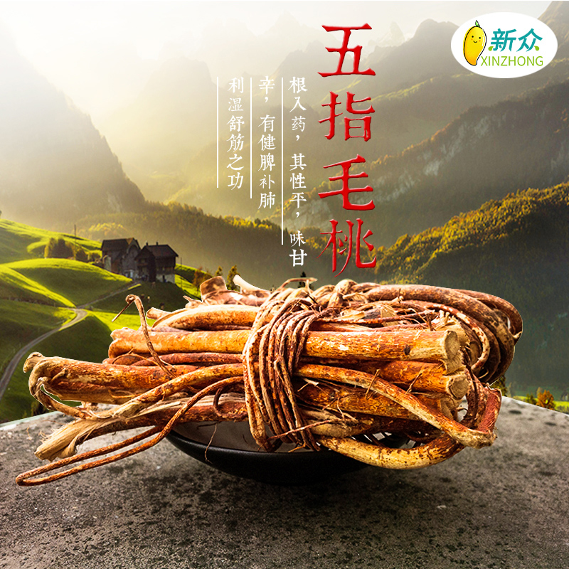 五指毛桃种子广西南方北方四季可种植中药材果树家庭园艺种子