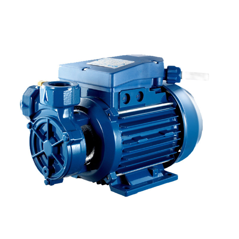 机床pentax水泵意大利宾泰克cp45cpt45旋涡离心泵铸铁水泵