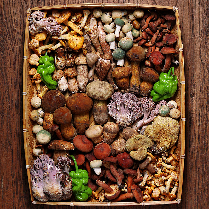 菌菇组合云南新鲜蘑菇见手青牛肝菌松茸食用菌子火锅配有野生菌