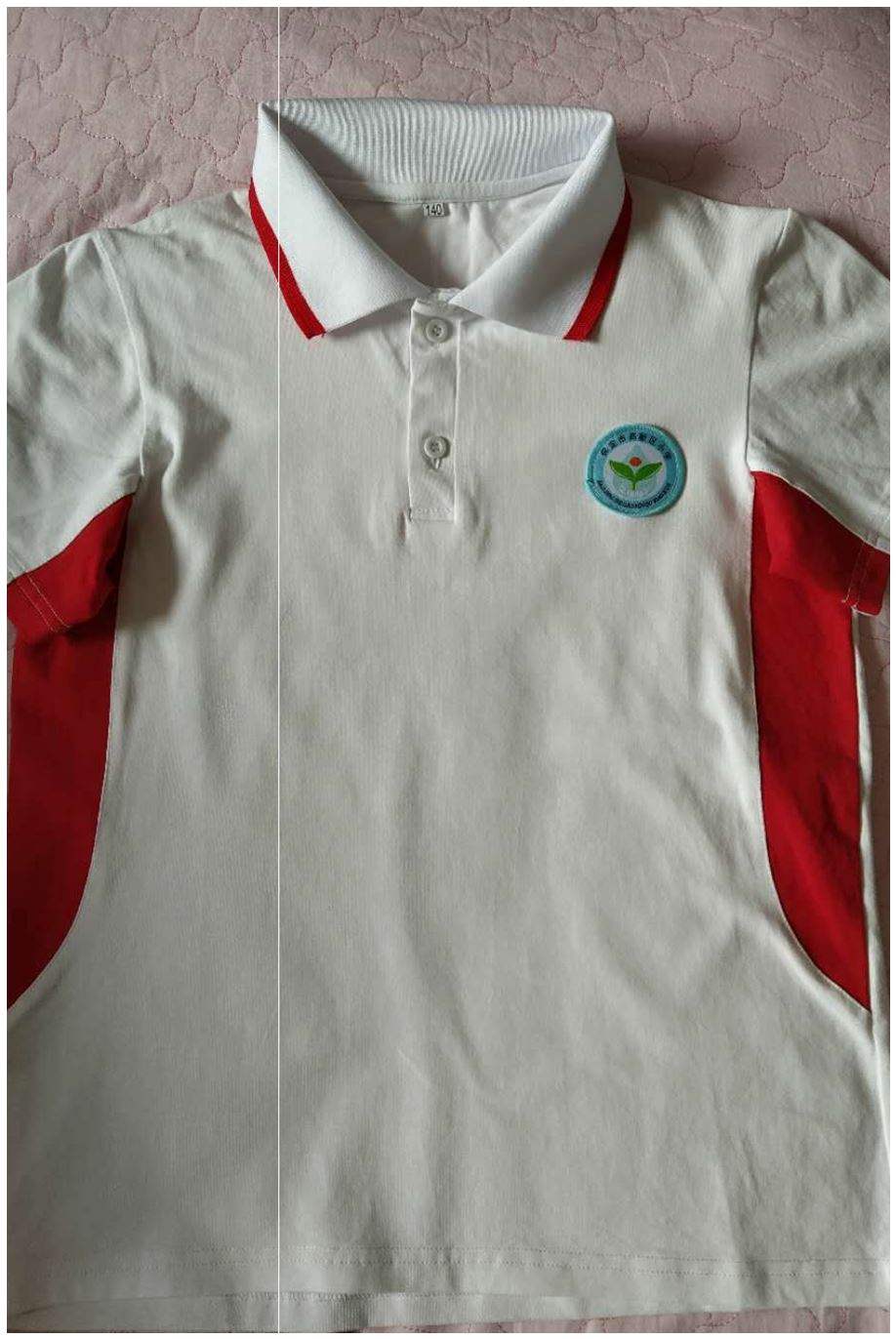 保定高新区红白经典中小学生运动夏季套同款定制校服更多舞蹈服装