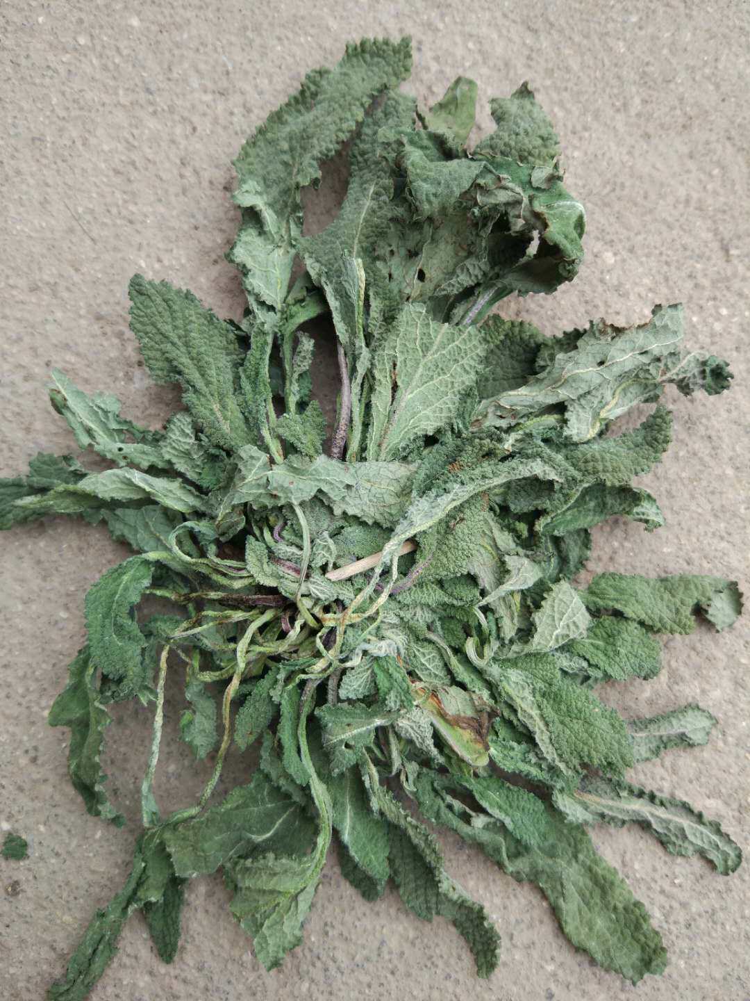 野生癞蛤蟆21年新品整棵荔枝草皱皮草雪见500g养生茶