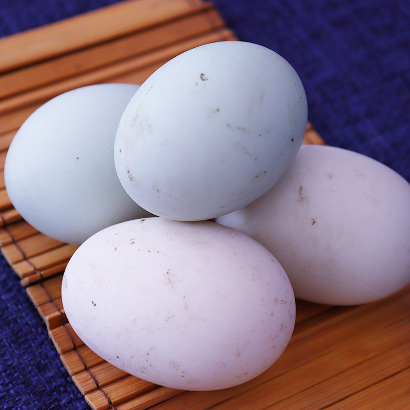 鸭蛋千岛湖山区生态农场散养新鲜20枚宝宝宝孕补充鸭蛋