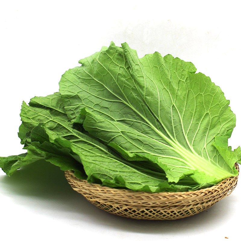 东北白菜叶菜叶饭包大白菜叶子包邮免运费20片新鲜其它