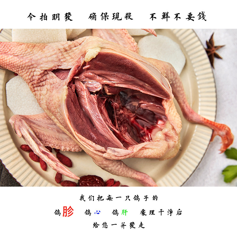 若野鸽子肉新鲜活体现杀3只包邮乳鸽生鲜老鸽子土鸽子农家散养