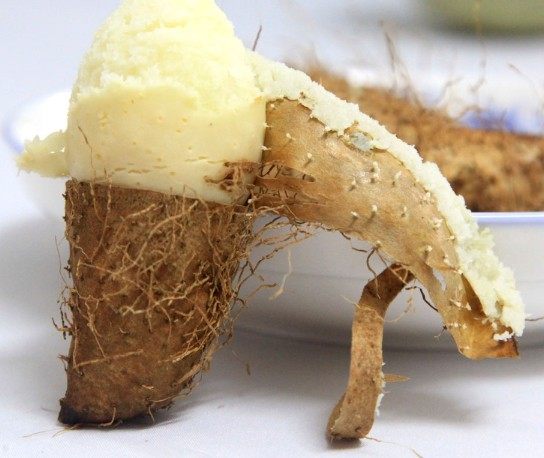 海南三亚番薯毛薯甜粗粮5斤粉糯农家番薯