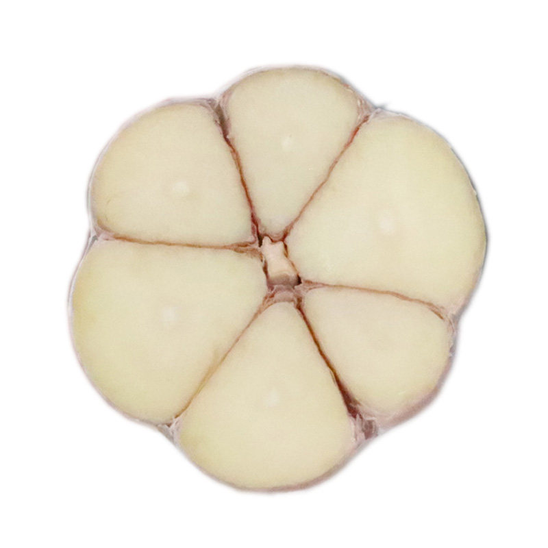 大蒜四六1斤沂蒙山呼吸兰陵苍山山大蒜头瓣辫大蒜