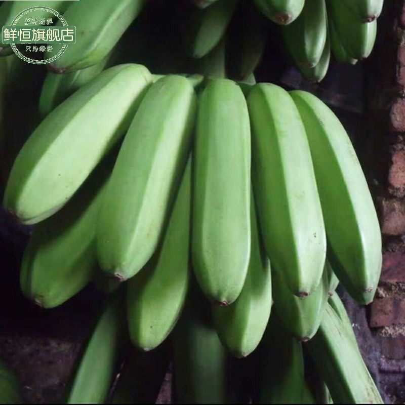 新鲜福建柴蕉芭蕉大蕉plantain水果香蕉5斤包邮香蕉