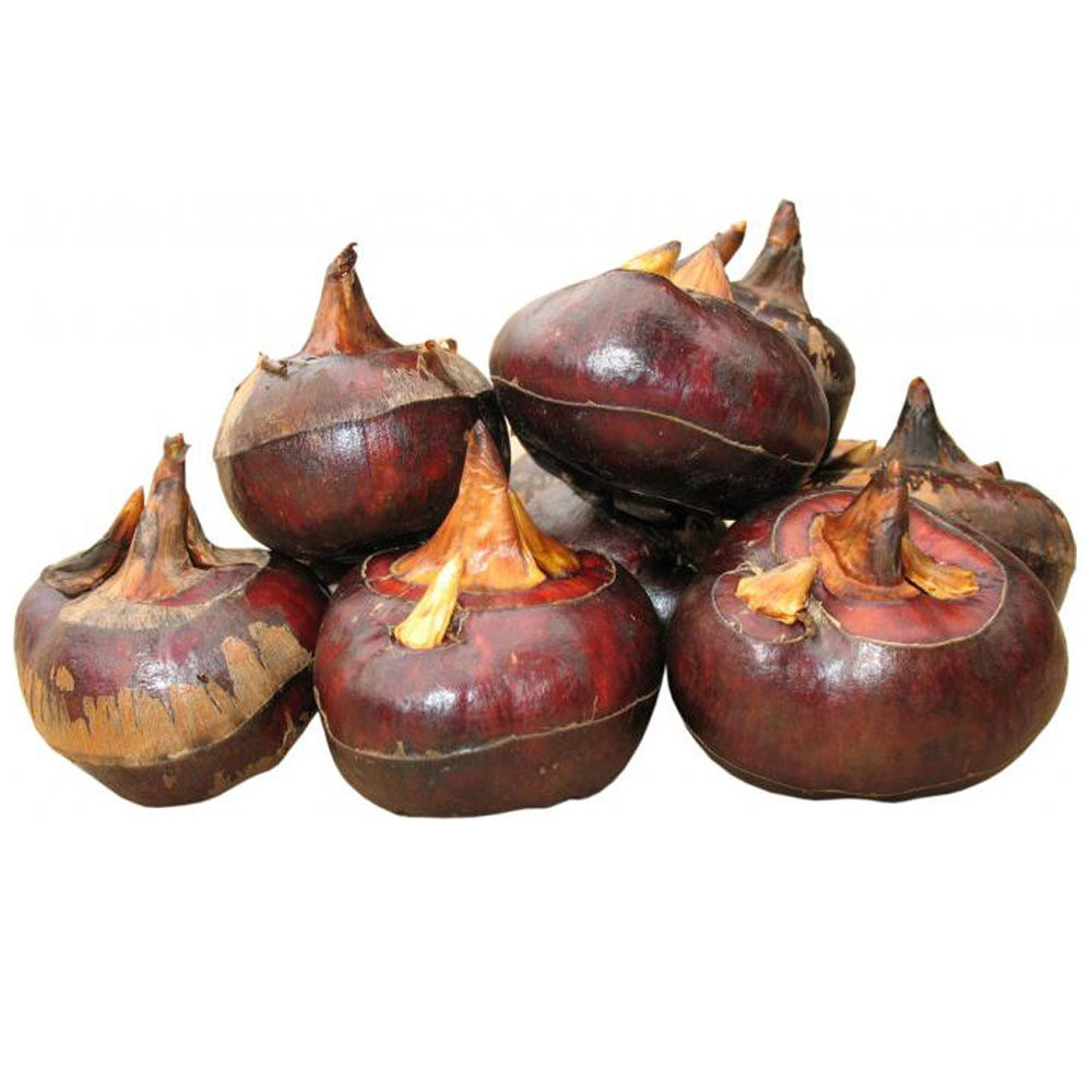 5斤大号正宗广西荔浦马蹄新鲜荸荠地梨农自种其它