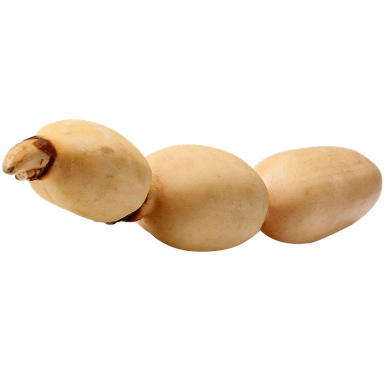 新鲜云南莲藕2500g小炒凉拌藕节现挖嫩藕多买包其它