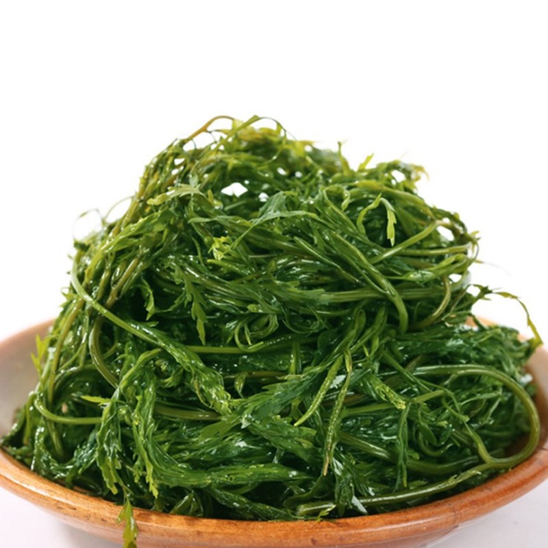 5斤尊益鲜荣成盐渍马尾藻海藻菜新鲜鞭炮笋海草即食长寿菜龙须菜