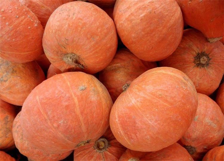 新鲜蔬菜山东农家红皮西洋南瓜倭瓜窝瓜2斤其它