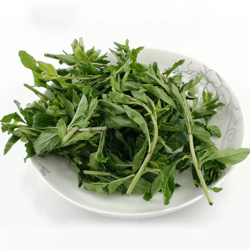 新鲜枸杞蔬菜带箱500克5件部分地区包邮其它