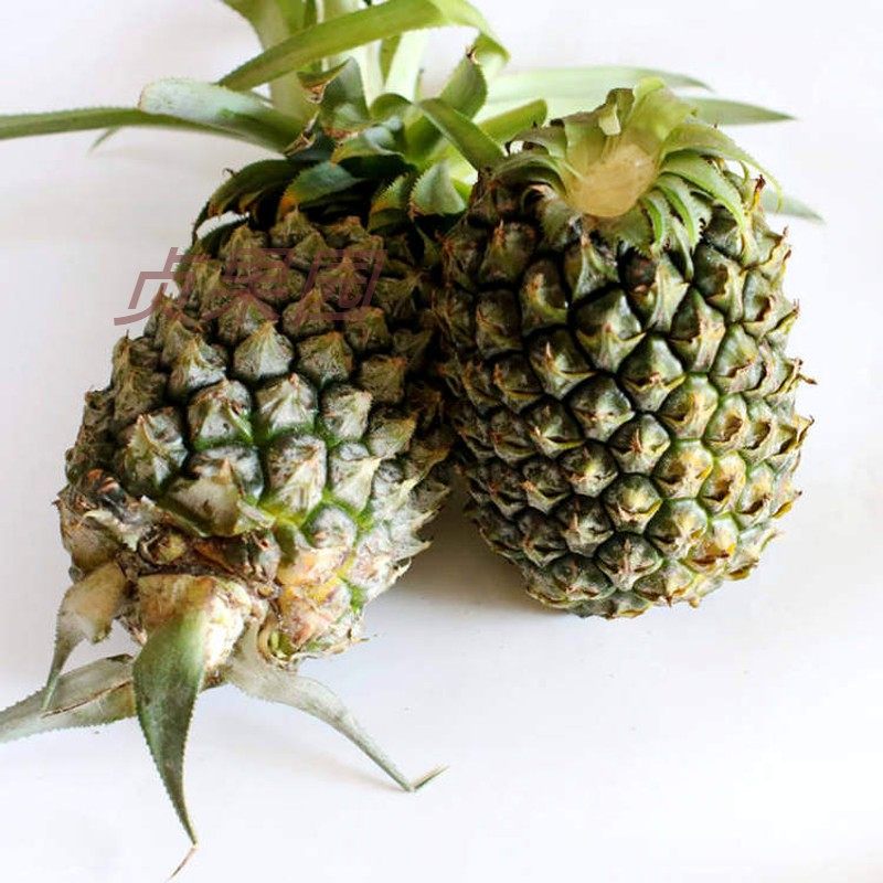 广西甜爽9斤带箱水果时令糖心香脆大菠萝发香菠萝