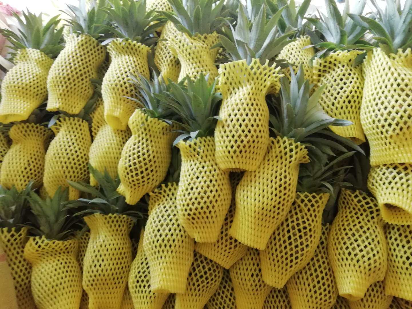 广西香脆装包8斤水果时令南方糖心甜爽发香菠萝