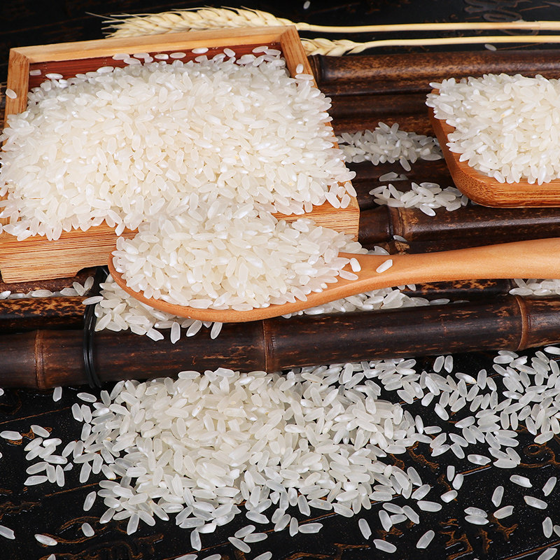 掌生谷粒五常大米年货东北稻花香长粒香东北新米500g真空1斤装