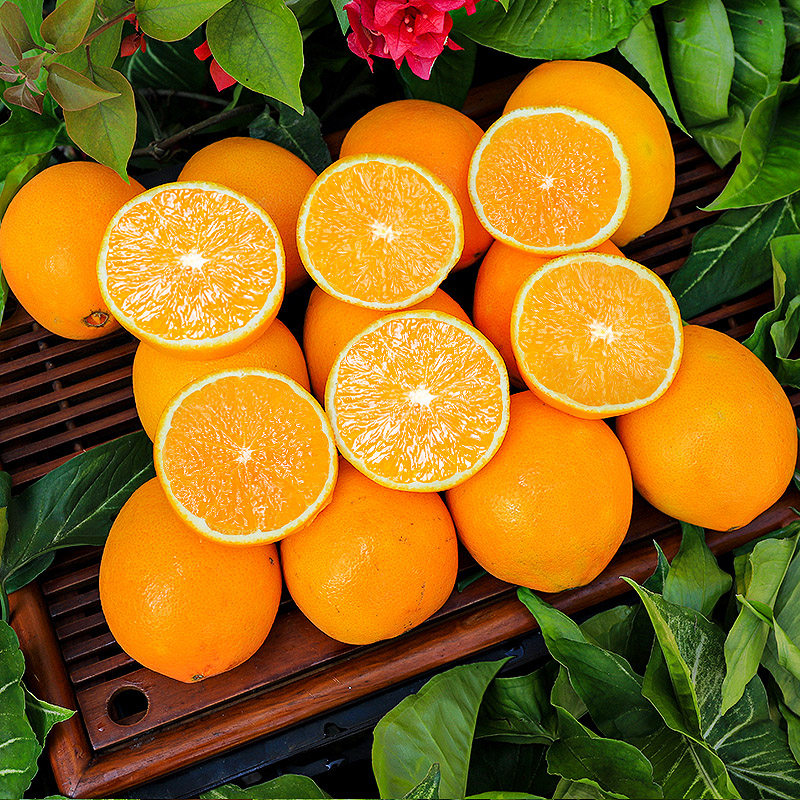江西赣南de脐橙新鲜10斤橙子应当当季水果橙
