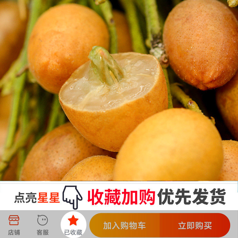 黄皮顺丰广东鸡心6斤当季新鲜现摘冰糖孕妇其它