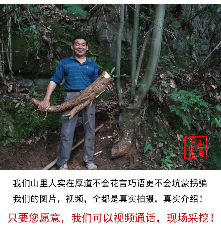 青皮梧桐树根 桐麻树根 中药材瓢儿树根 纯根 新鲜切片晒干 500g