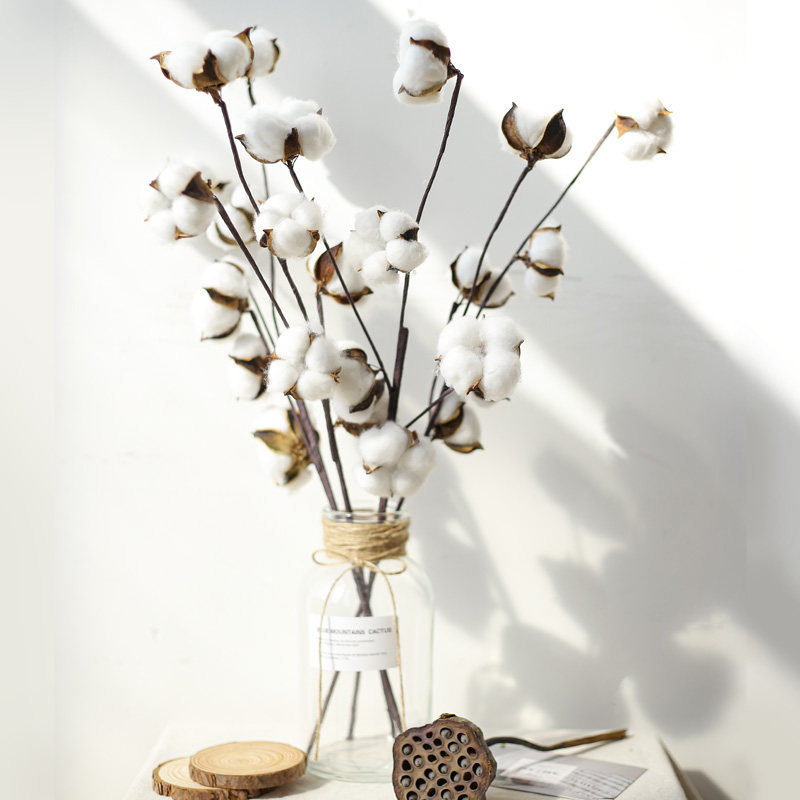 棉花花束装饰摆设餐桌干花客厅花瓶小清新diy干花