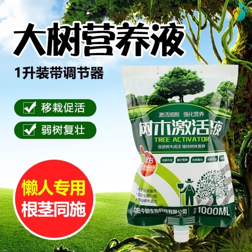 树木营养液花卉生根大树吊针液树古树绿植秋季榆树四季桂树