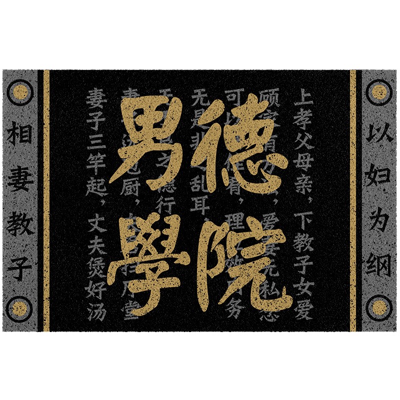 地垫入门pvc擦洗男德学院厨房网红赘婿门口家用脚垫