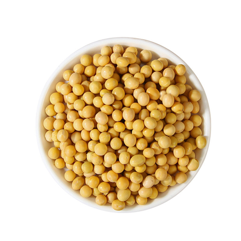 豆浆业大农业豆豆自种豆包精品农家大黄黄豆黄豆