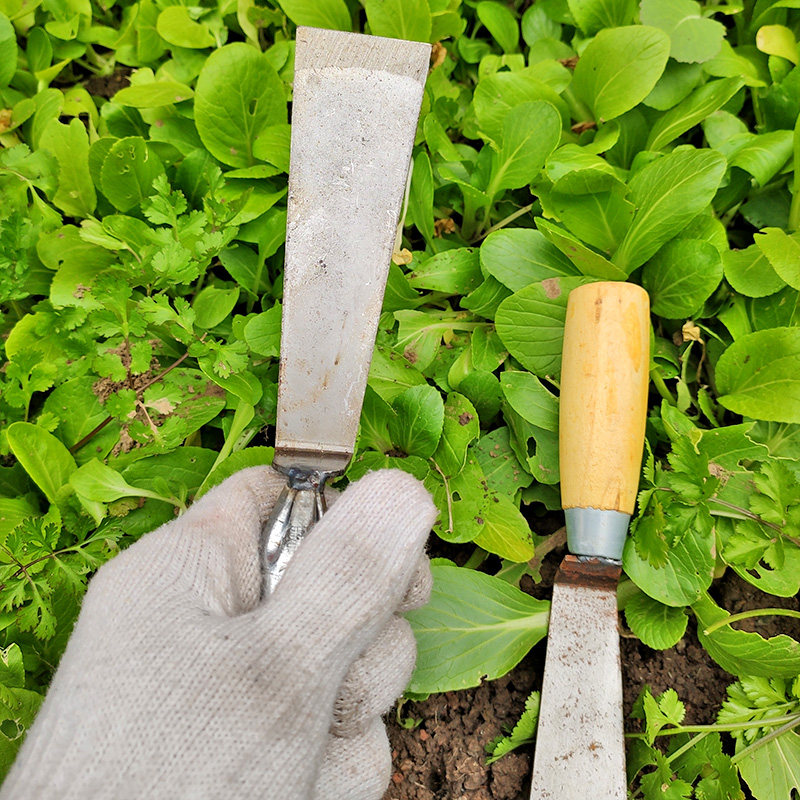 野菜铲子草铲神器铁铲荠菜小铲小号户外家用铲子