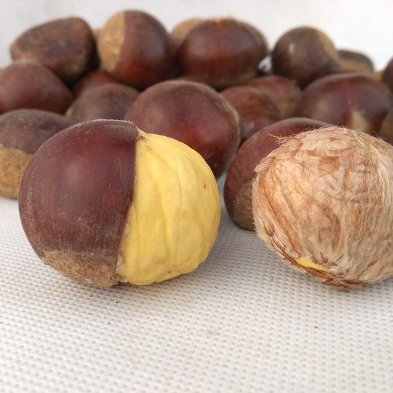 栗品优 生板栗2019年板栗 生 新鲜农家现摘生栗子5斤装野生油栗3