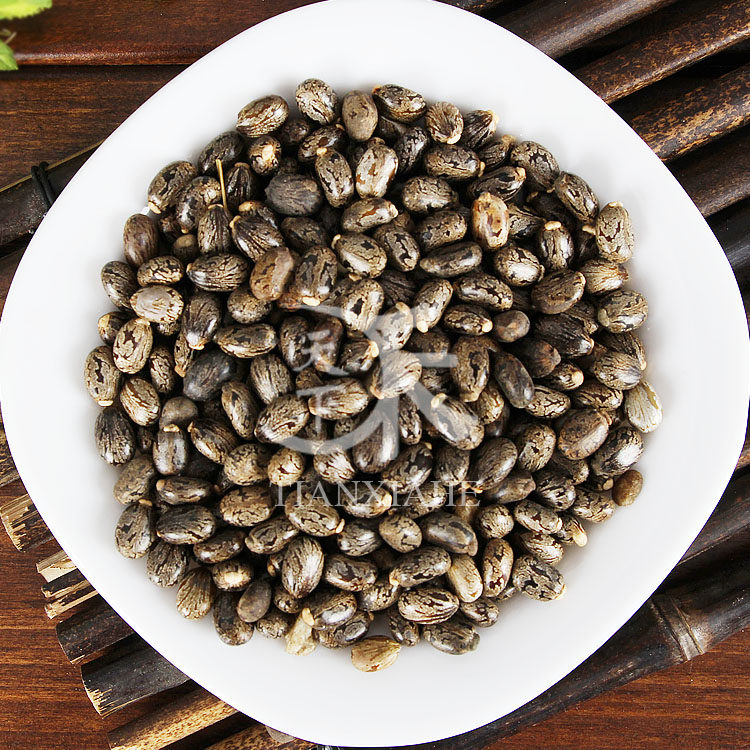 蓖麻麻子新货饱满野生大蓖500g麻仁中药材籽种其他药食同源食品