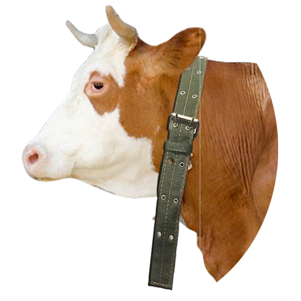 畜牧用品耐磨拴牛栓牛脖套养牛场设备牛龙头龙套笼牛缰绳转环扣栓